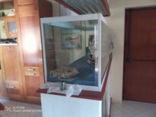 Ottimo acquario usato da lt 450 dimensioni 150X50X60 spessore 1cm. zona Catania