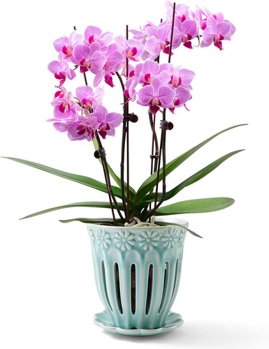 Vaso per orchidee ceramica - orchidee,