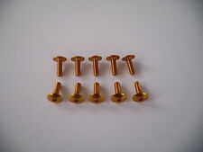 VITI IN ERGAL CARENA TESTA