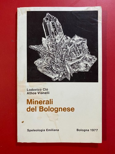 Lodovico clo athos vianelli - lodovico,