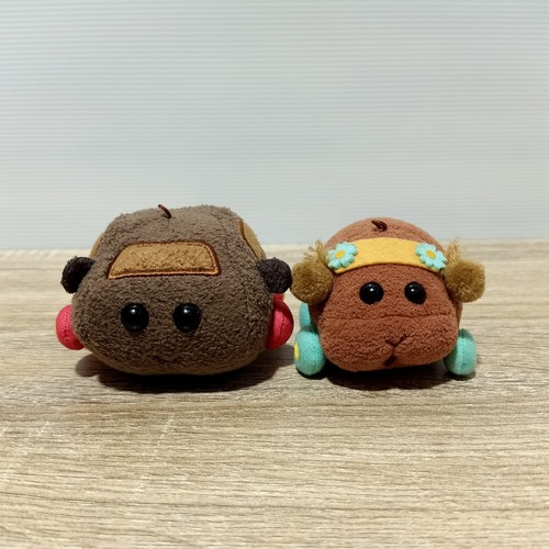 Pui molcar teddy - pui, choco
