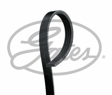 4pk928 gates cinghia poly - cinghia, poly-v