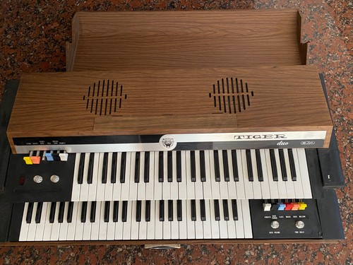 Organo elettronico tiger duo - organo,