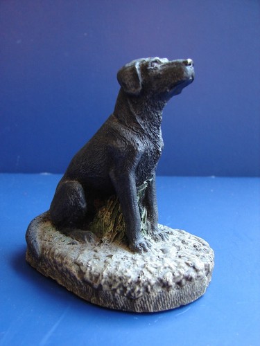 Black labrador 1978 - black,