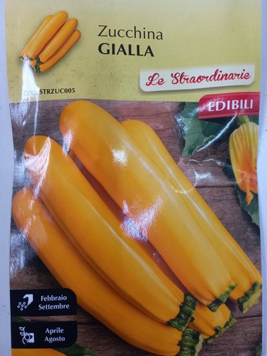 Semi zucchina gialla - semi,