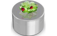 Swarovski 5692961 Idyllia