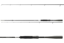 DAIWA Caldia Sensor Spin, 2