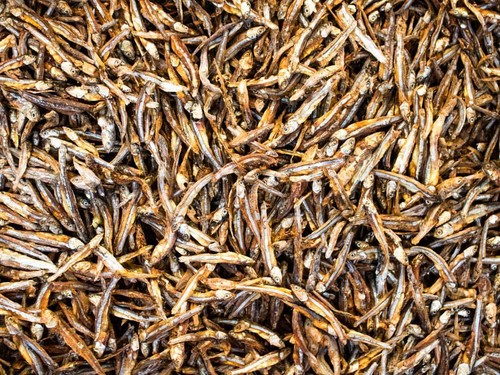Sprats ceylon - sprats, (halmasso)