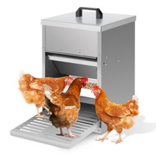 Mangiatoia automatica polli