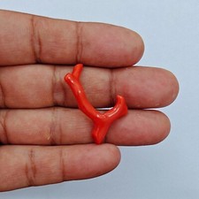 Ramo di corallo autentico