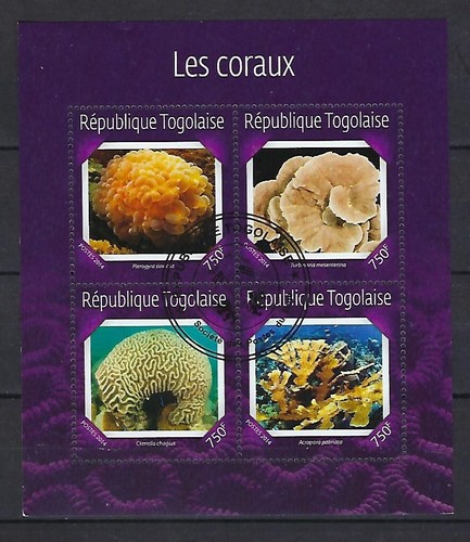 Animali corallini togo 2016 - animali,