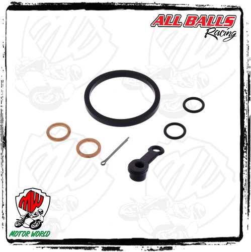 Kit revisione pinza freno - pinza,