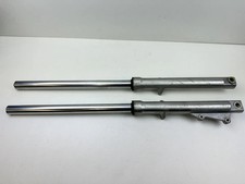 BRACCIO FORCELLA REGAL RAPTOR