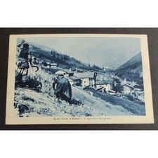 Cartolina Ayas (Valle d'Aosta) - Il Raccolto del Grano