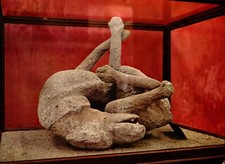 Postcard Pompei Conterdrawing