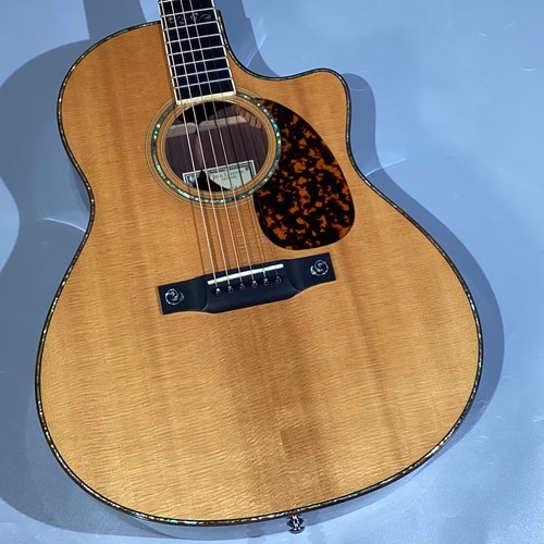 Larrivee guitar female - larrivee, lv-10