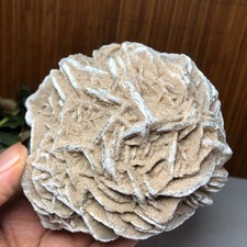 Rosa del deserto naturale 91