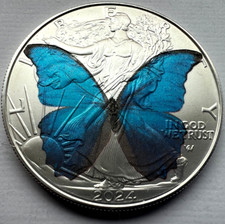 Blue Morpho Butterfly - rara