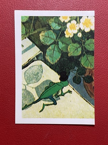 Apemaia ed panini - 26, ed.