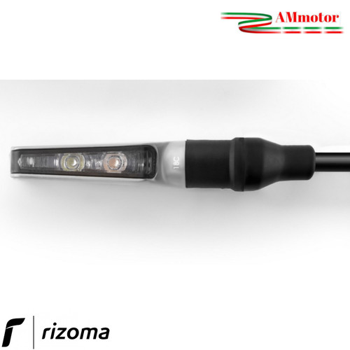 Freccia rizoma corsa - freccia, s