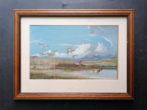 Quadro acquerello vintage
