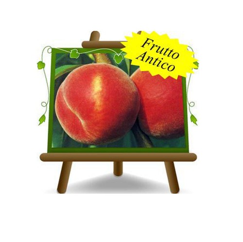 Pesche polpa gialla - pesche, redhaven