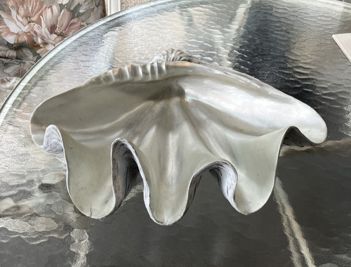 Stampo gesso realistico - gesso, per