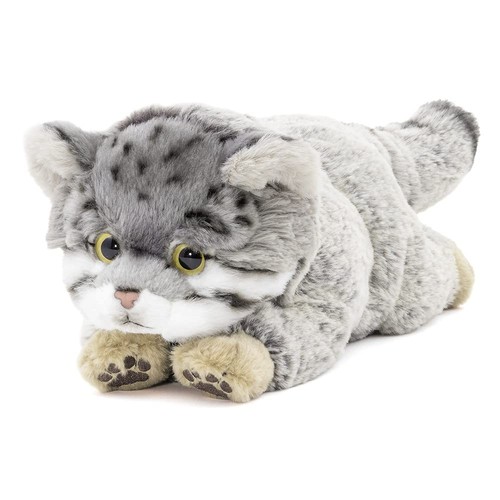 Colorata pallas cat - cat, plush