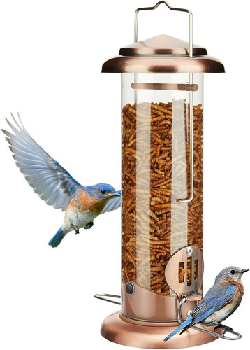Alimentatore bluebird - alimentatore,
