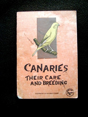 1941 canaries book - book, their