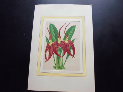 Gravure couleur