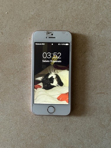 Apple iphone 1ª gen - se,