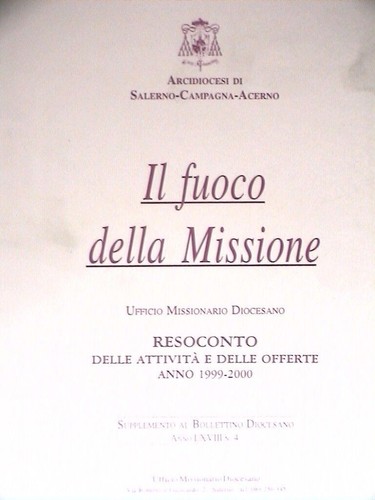Fuoco della missione - fuoco,
