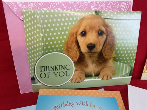 Biglietti auguri cucciolo - , 4