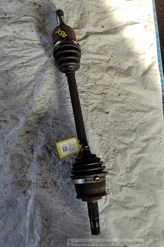 51955481 semialbero ant - 51955481,