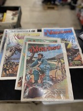 Il VITTORIOSO Comic Book