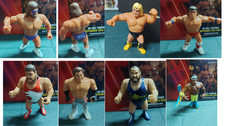 WWE ACTION FIGURE SERIE HASBRO