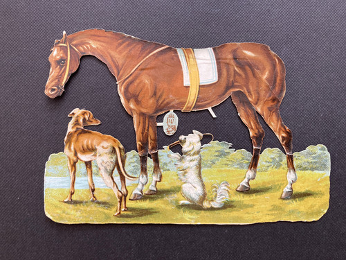 Raphael tuck horse - tuck,