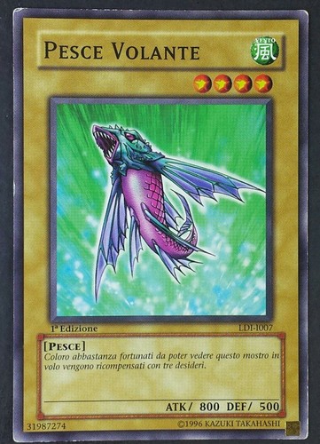Pesce volante comune - pesce,