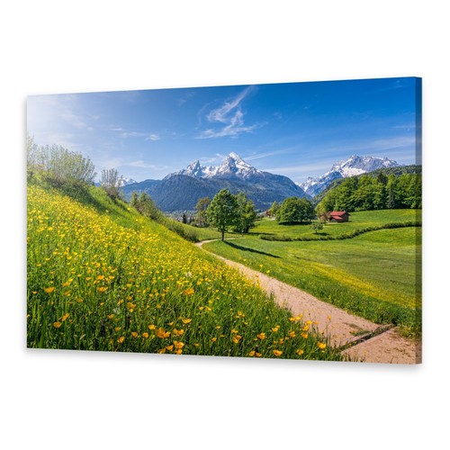 Quadri tela quadro - quadri,