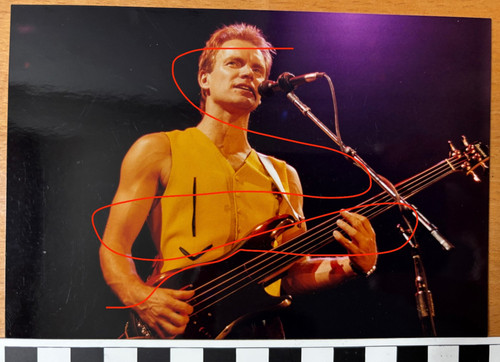 Vintage originalfoto sting - vintage,