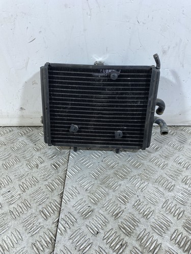 101396 radiatore piaggio - 101396,