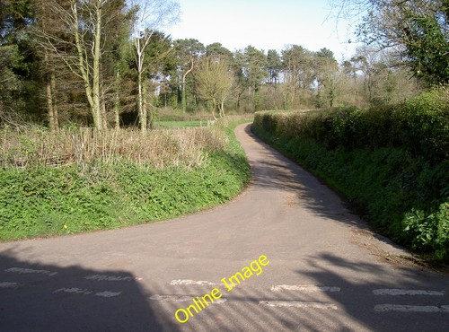 Photo 12x8 slade lane - photo, potters