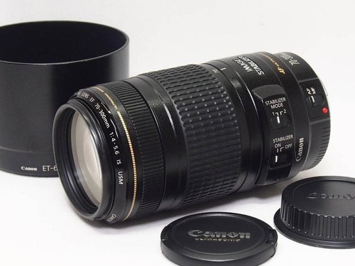 Canon 300 5 6 is - mm,