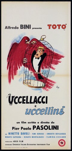 Uccellacci uccellini - uccellacci,