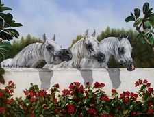 3 Arabian Mares "The Line Up"