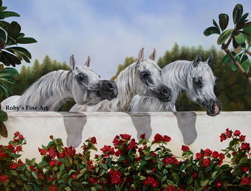 Arabian mares the line up - mares,