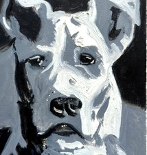 Cane Corso Cane Dipinto Olio