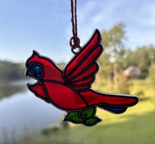 Sei uccellini cardinali in