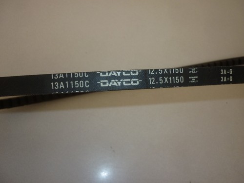 Cinghia dayco pirelli - pirelli, piaggio
